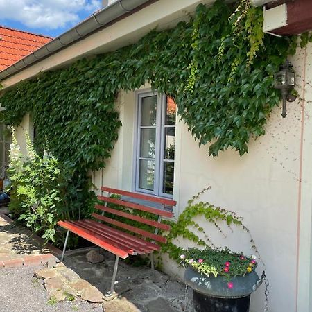 Fewo Im Kneipenviertel Altkoetzschenbroda Radebeul Ngoại thất bức ảnh